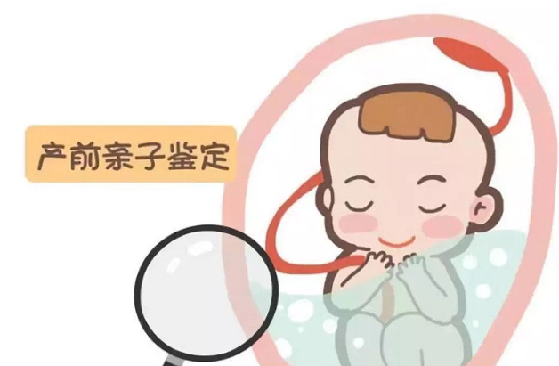 辽宁刚怀孕怎么检测孩子生父是谁,辽宁孕期亲子鉴定收费标准
